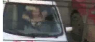 sani goi tzatze goale