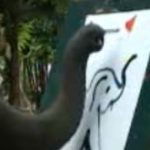 Elefantul pictor