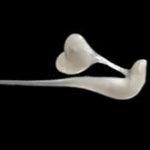 Experimentul “5 litri de sperma”