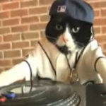 DJ Kitty 