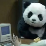 Never say no to Panda! 