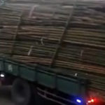 Un sofer de camion…… (2)