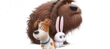 The Secret Life of Pets Official Teaser Trailer